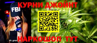 гашик Ирбит