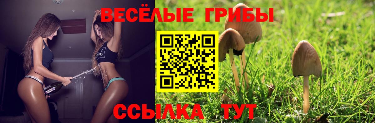Галлюциногенные грибы ЛСД  Вход с VPN  Курчатов 
