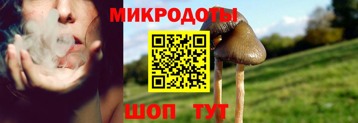 Псилоцибиновые грибы прущие грибы Курчатов
