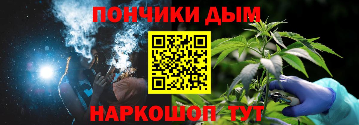 Шишки марихуана семена Курчатов
